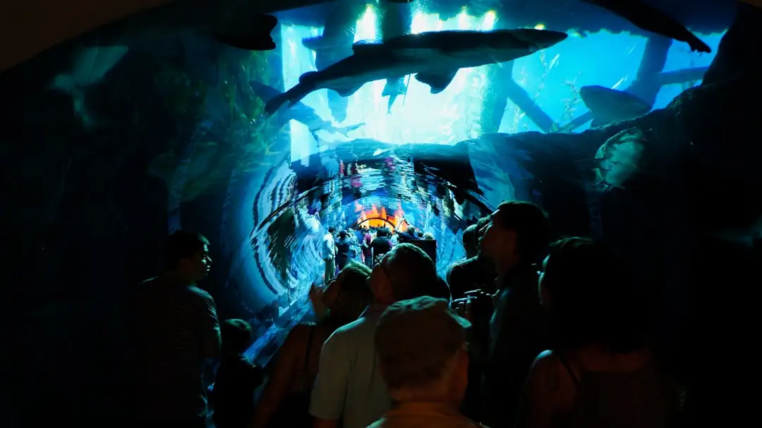 Dubai aquariums 2026: Dubai Aquarium vs Lost Chambers vs Green Planet