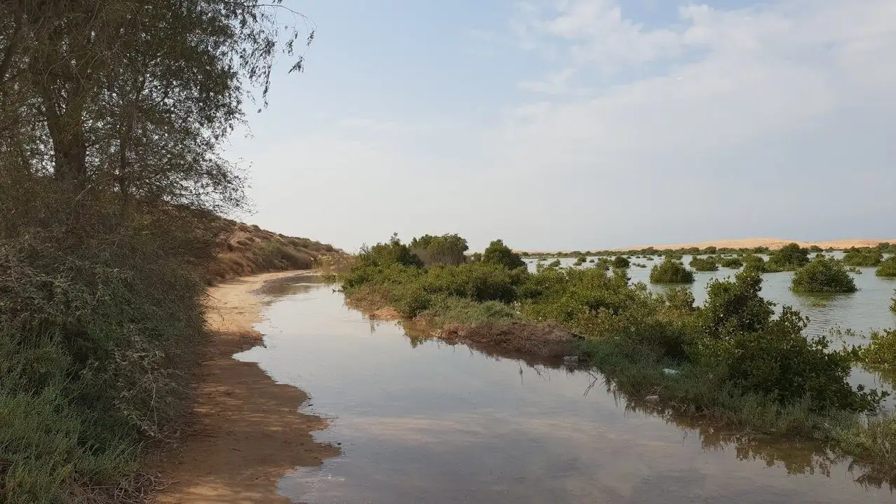 Khor Al Beidah — Photo: Kaippally / Wikimedia Commons (CC BY-SA 4.0)