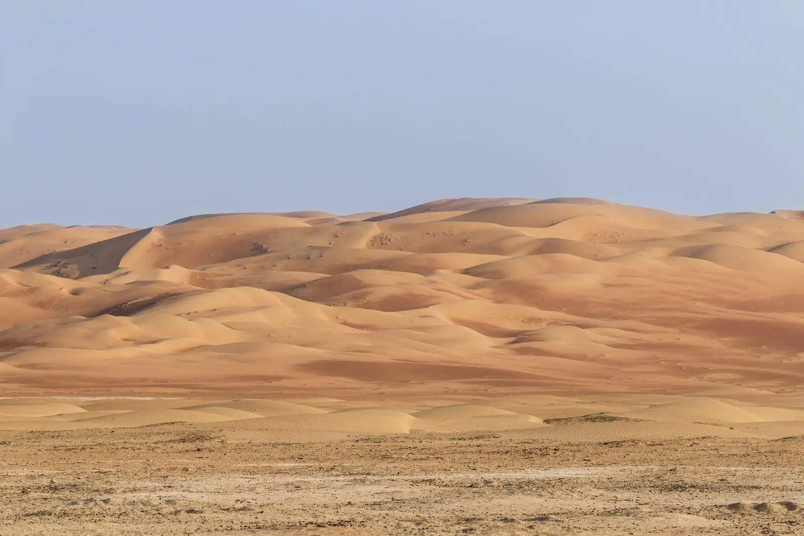 Liwa Oasis — by Darthjipsu / CC BY-SA 4.0