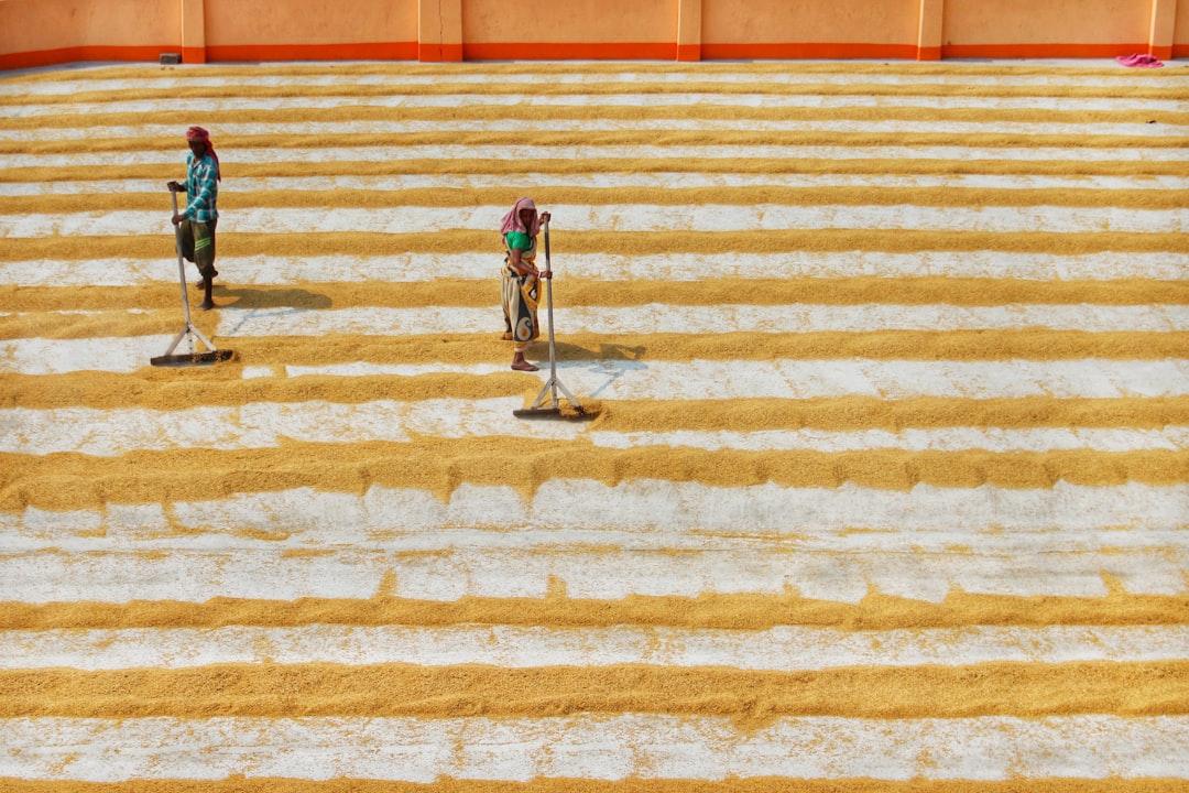 a couple of people that are standing in the dirt — Photo by Dibakar Roy on Unsplash