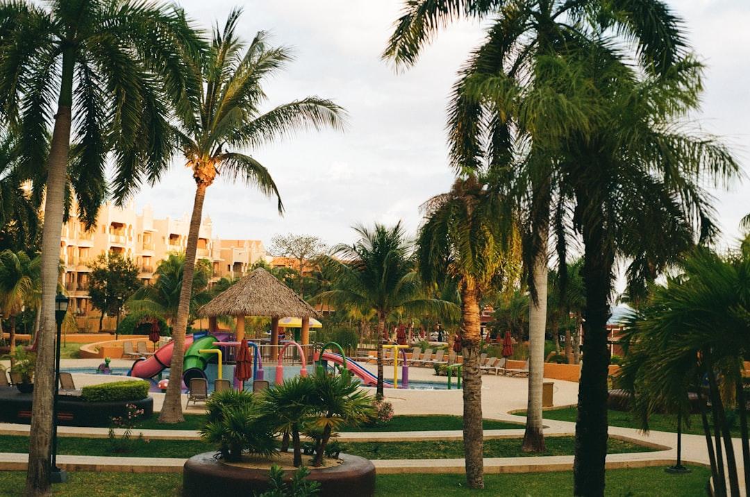 Palm trees surround a resort playground and playground area. — Photo by Treasure Scott on Unsplash