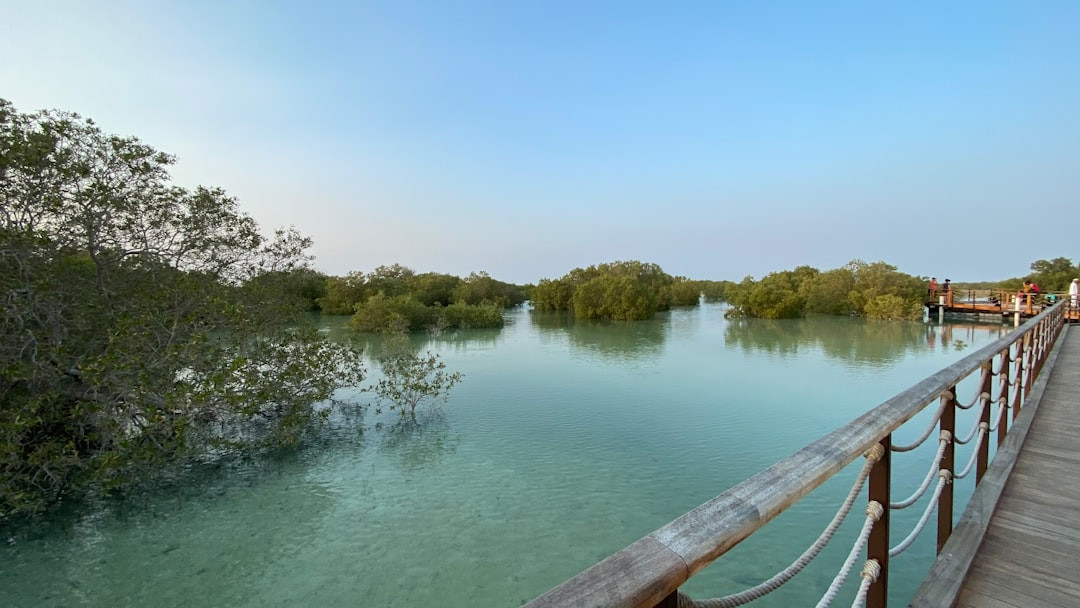 a bridge over a body of water — Photo by Sam Birouty on Unsplash
